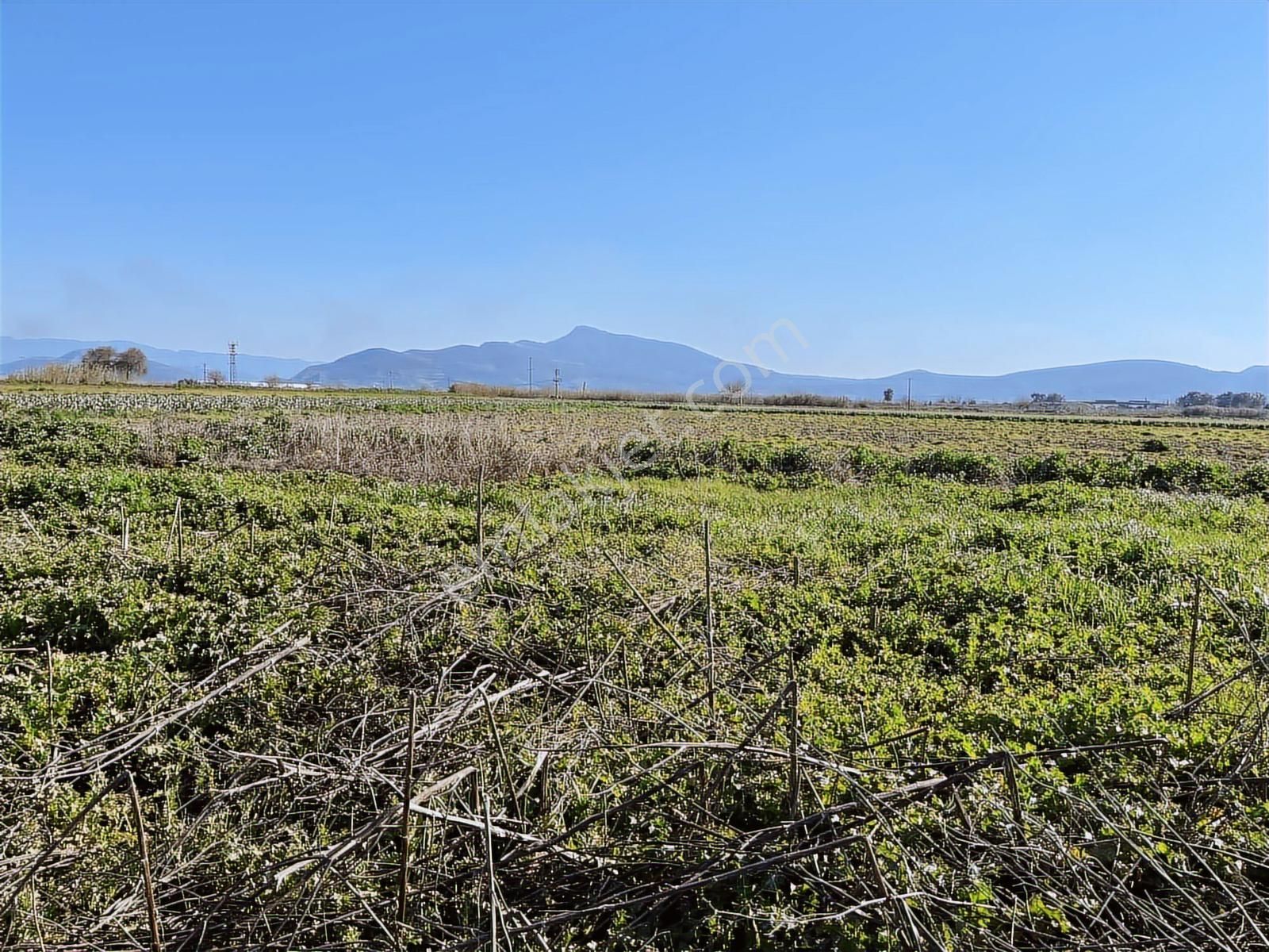 Torbalı Özbey Mah Tek Tapulu 10,955m2 Yatırımlık Tarla - Görsel 7