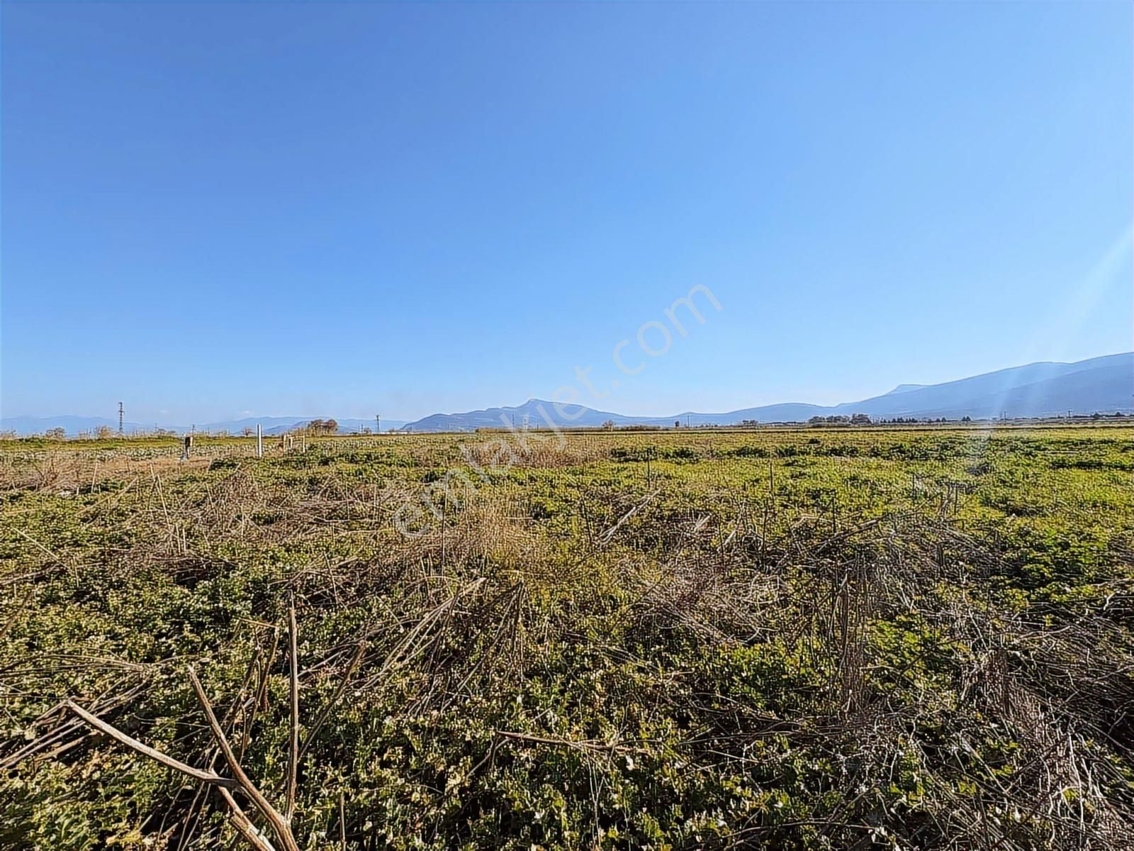 Torbalı Özbey Mah Tek Tapulu 10,955m2 Yatırımlık Tarla - Görsel 35