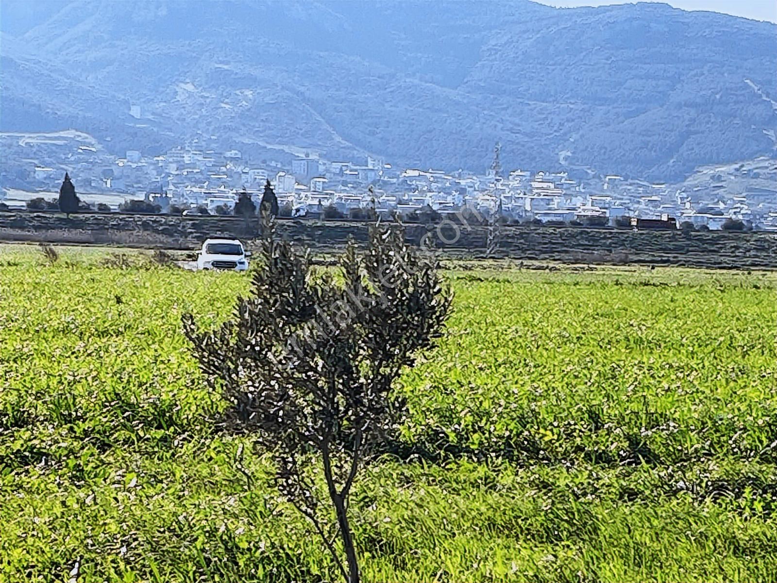 Torbalı Özbey Mah Tek Tapulu 10,955m2 Yatırımlık Tarla - Görsel 20