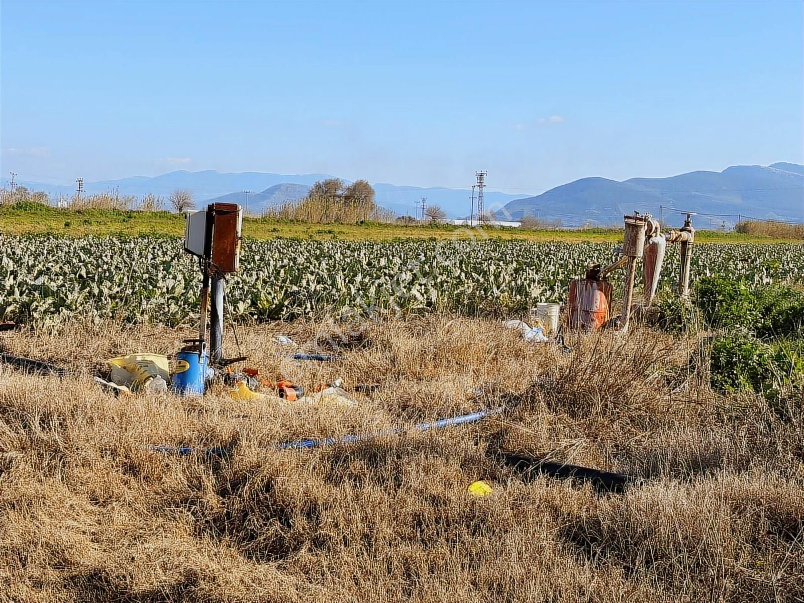 Torbalı Özbey Mah Tek Tapulu 10,955m2 Yatırımlık Tarla - Görsel 2