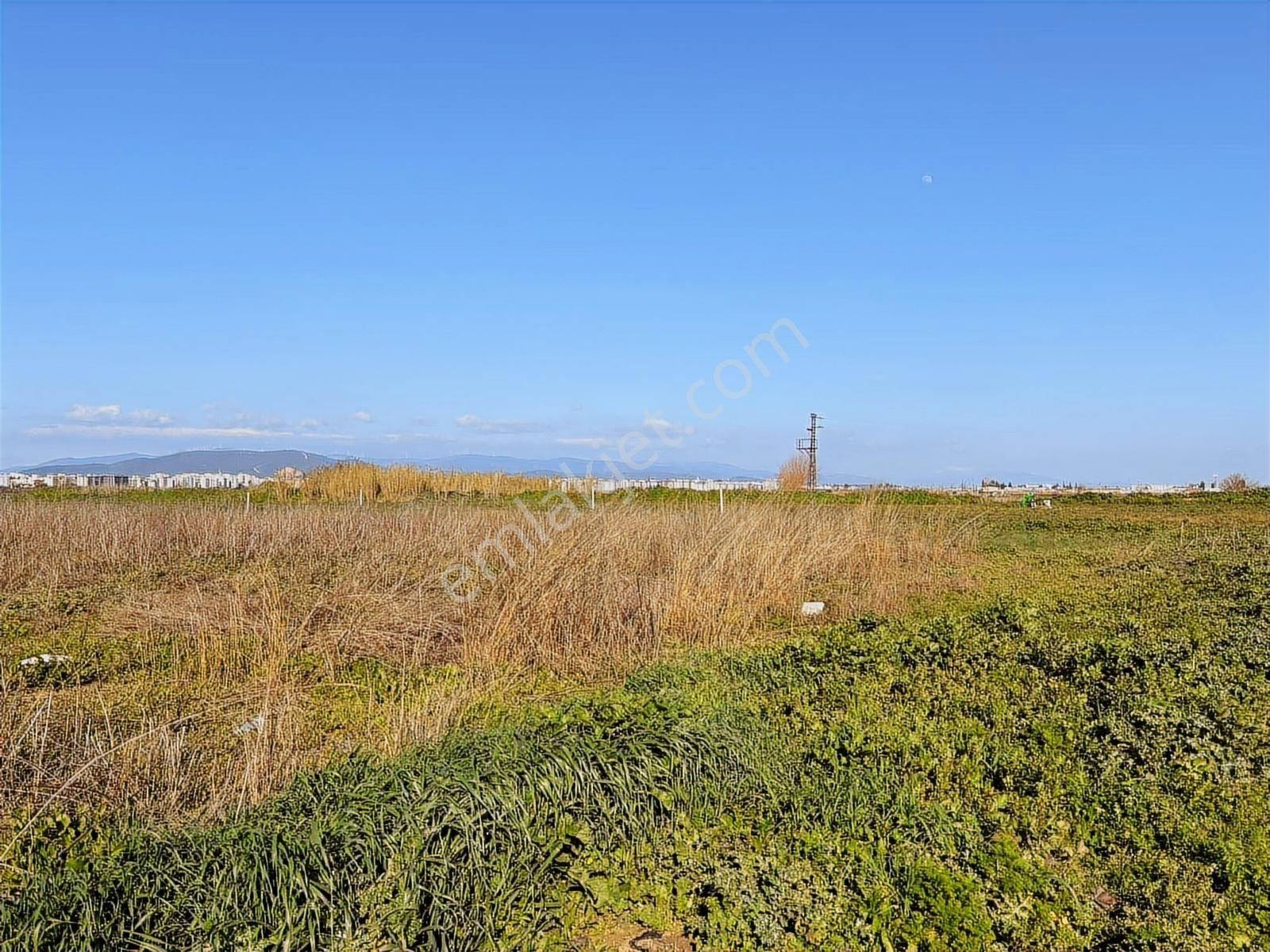 Torbalı Özbey Mah Tek Tapulu 10,955m2 Yatırımlık Tarla - Görsel 24