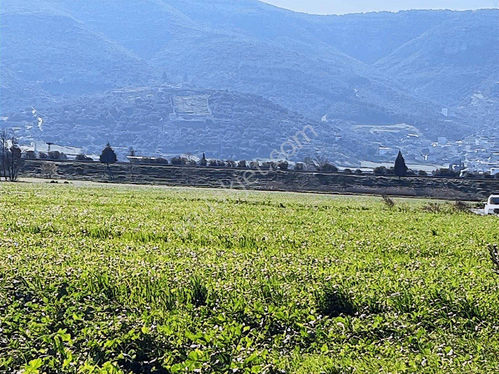 Torbalı Özbey Mah Tek Tapulu 10,955m2 Yatırımlık Tarla - Görsel 4