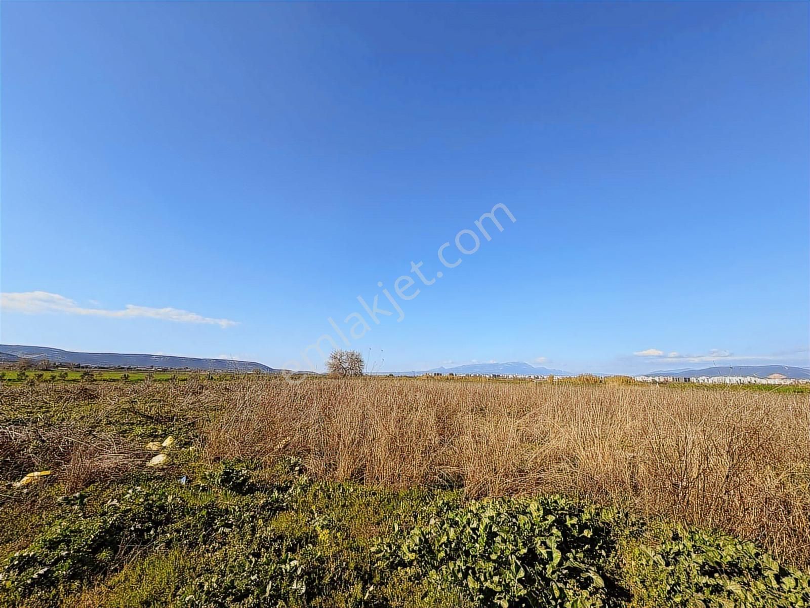 Torbalı Özbey Mah Tek Tapulu 10,955m2 Yatırımlık Tarla - Görsel 33