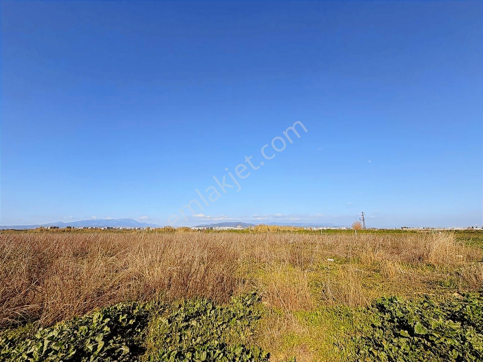 Torbalı Özbey Mah Tek Tapulu 10,955m2 Yatırımlık Tarla - Görsel 31