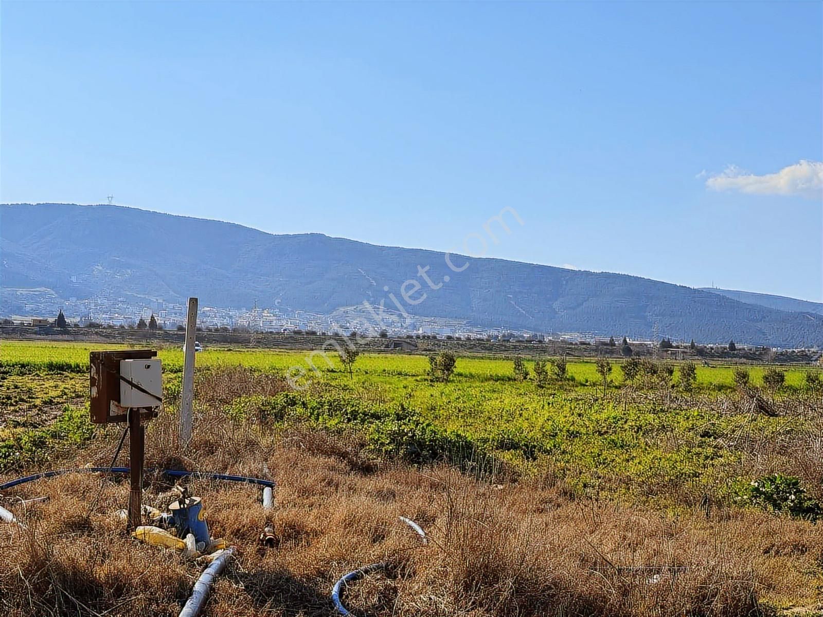 Torbalı Özbey Mah Tek Tapulu 10,955m2 Yatırımlık Tarla - Görsel 8