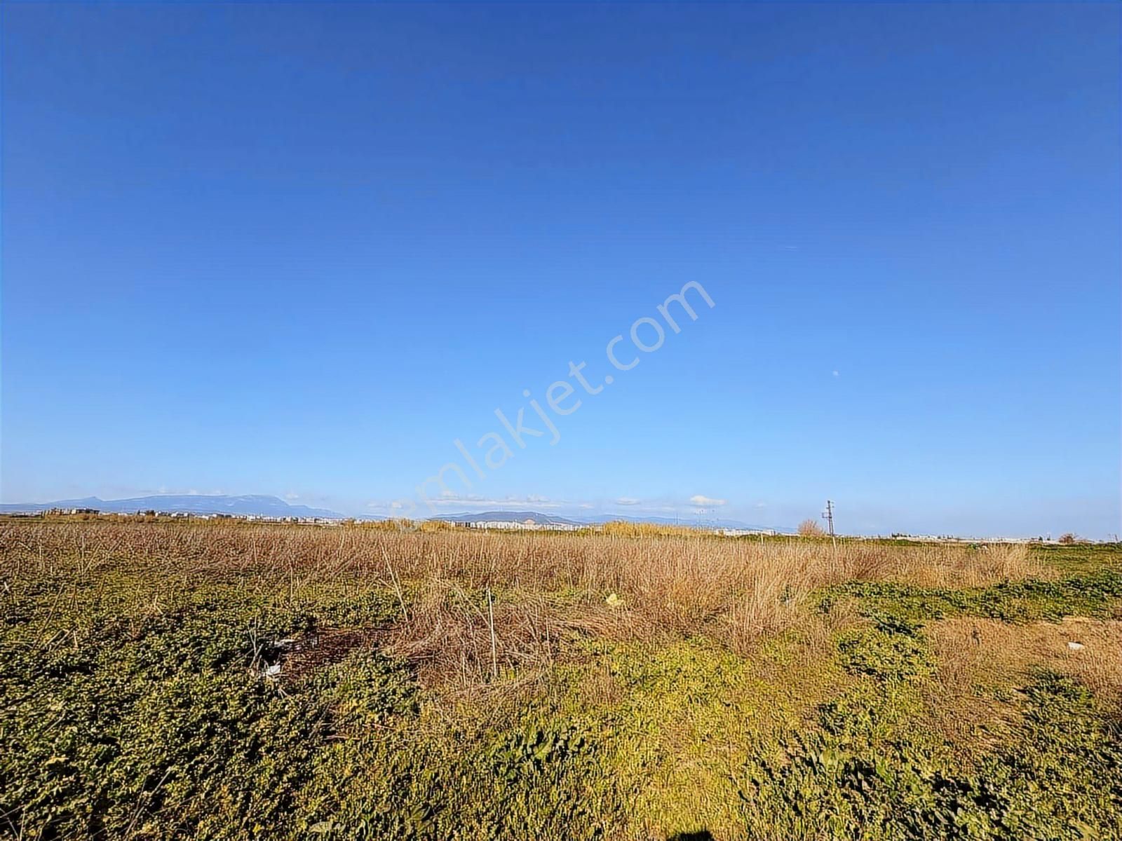 Torbalı Özbey Mah Tek Tapulu 10,955m2 Yatırımlık Tarla - Görsel 14