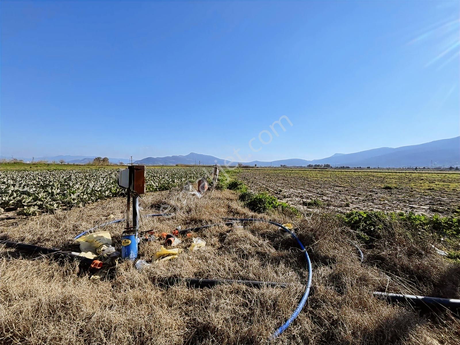 Torbalı Özbey Mah Tek Tapulu 10,955m2 Yatırımlık Tarla - Görsel 34