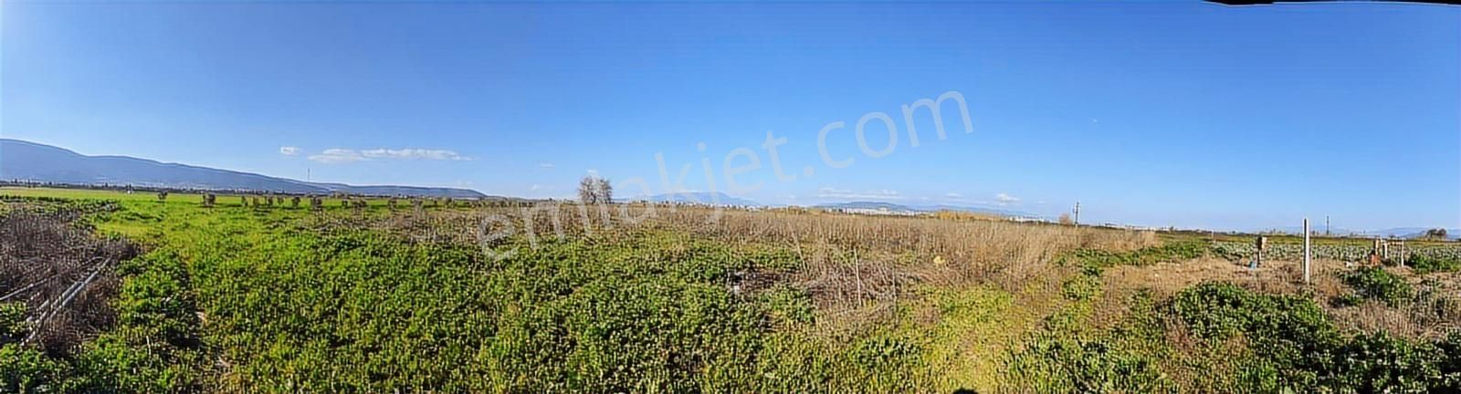 Torbalı Özbey Mah Tek Tapulu 10,955m2 Yatırımlık Tarla - Görsel 13