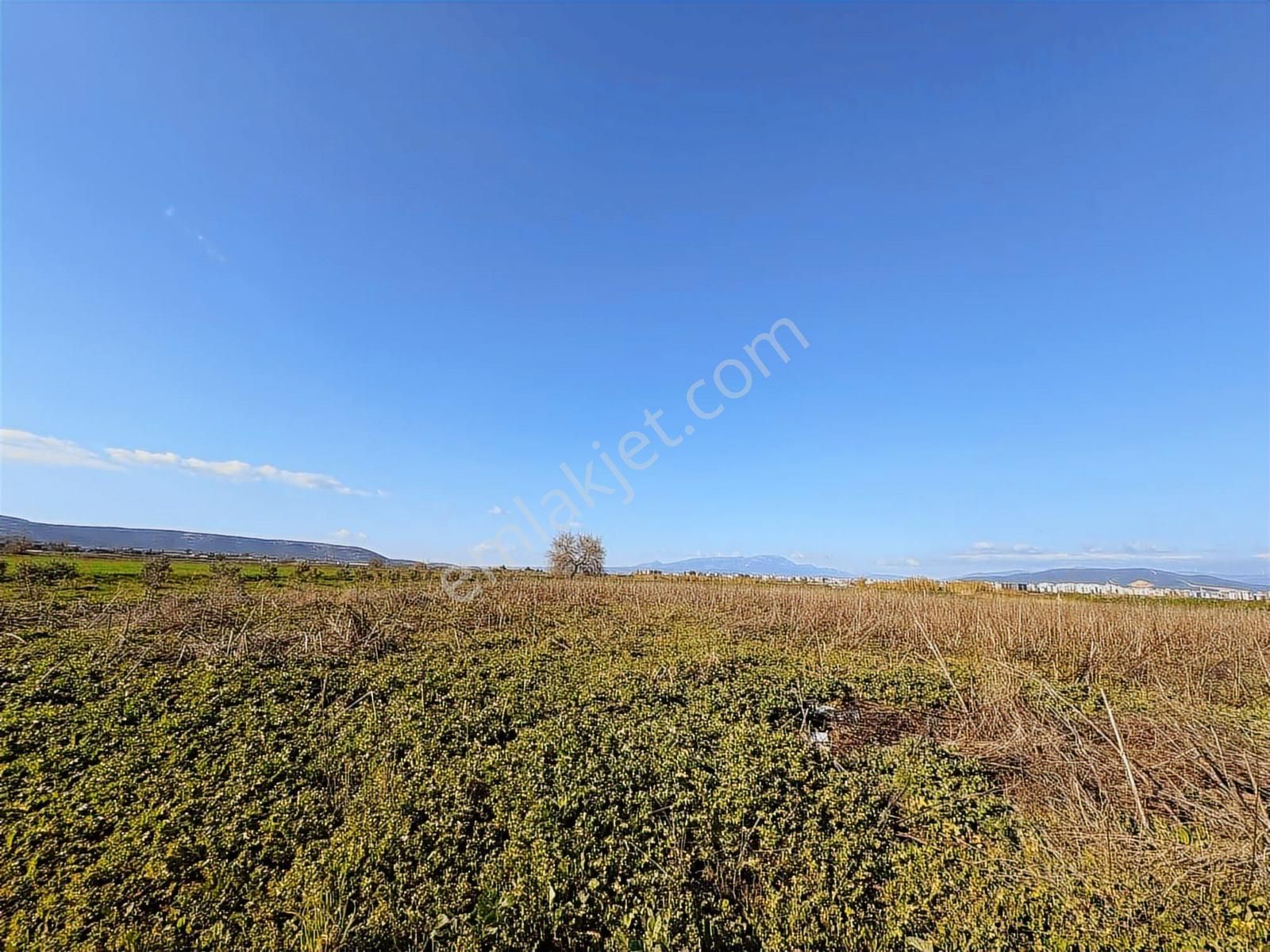 Torbalı Özbey Mah Tek Tapulu 10,955m2 Yatırımlık Tarla - Görsel 15