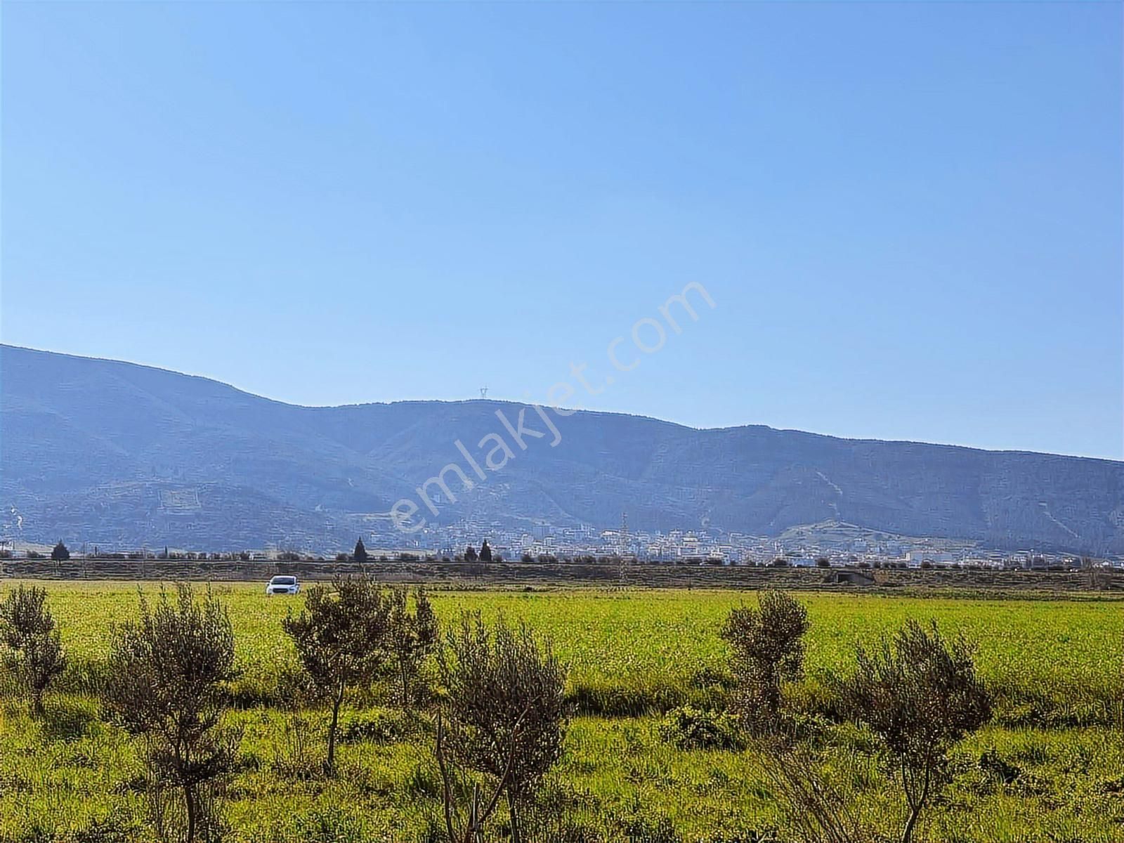 Torbalı Özbey Mah Tek Tapulu 10,955m2 Yatırımlık Tarla - Görsel 6