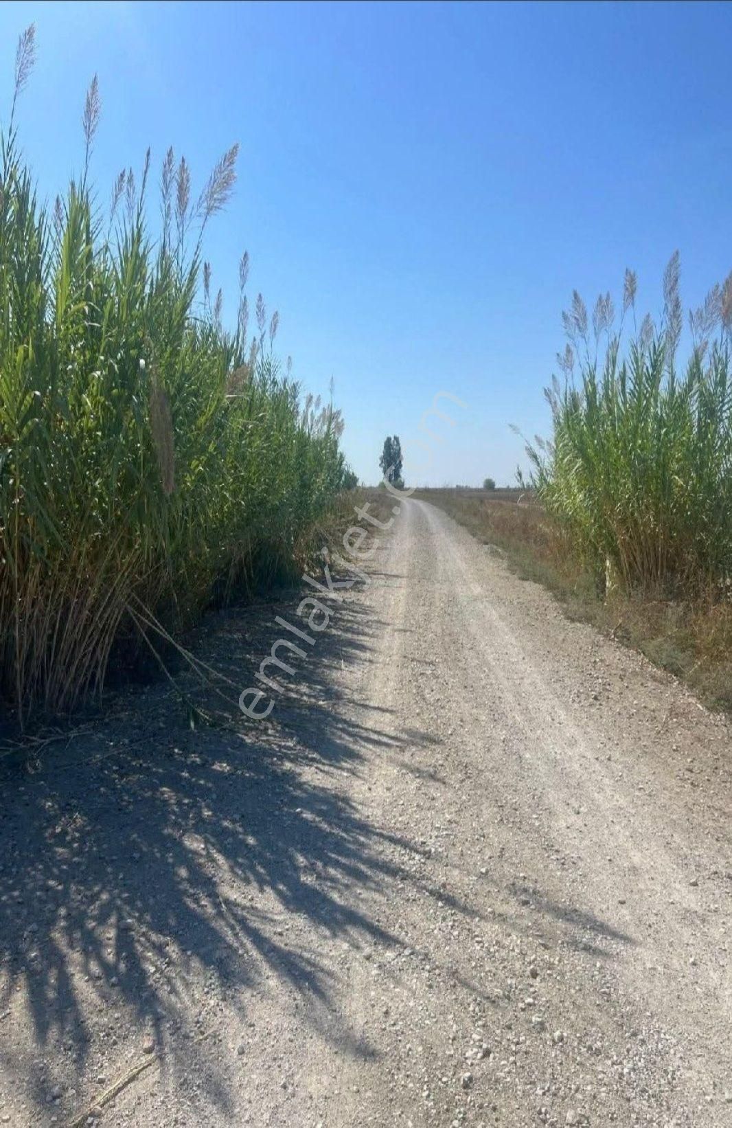 Sahibinden Çukurova Havalimanı Yakınında 9,725 M² - Görsel 3