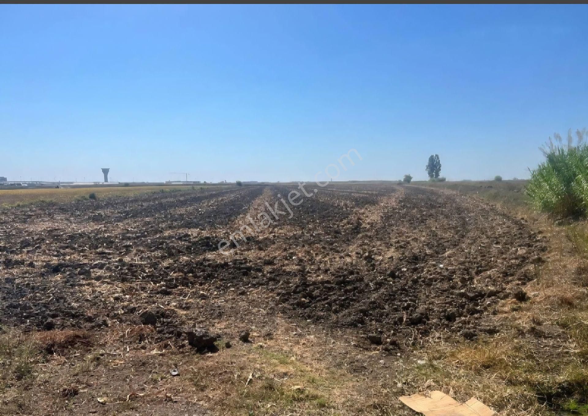 Sahibinden Çukurova Havalimanı Yakınında 9,725 M² - Görsel 2