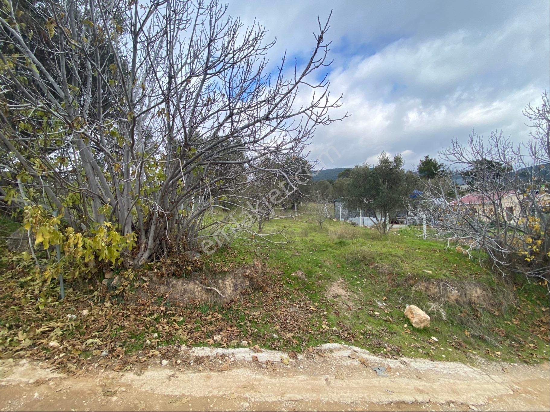 Damlacıkta Geleceğe Yönelik Kelepir Arsa - Görsel 6