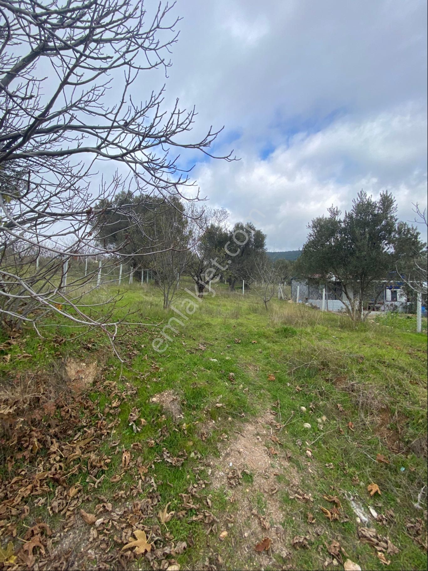 Damlacıkta Geleceğe Yönelik Kelepir Arsa - Görsel 8