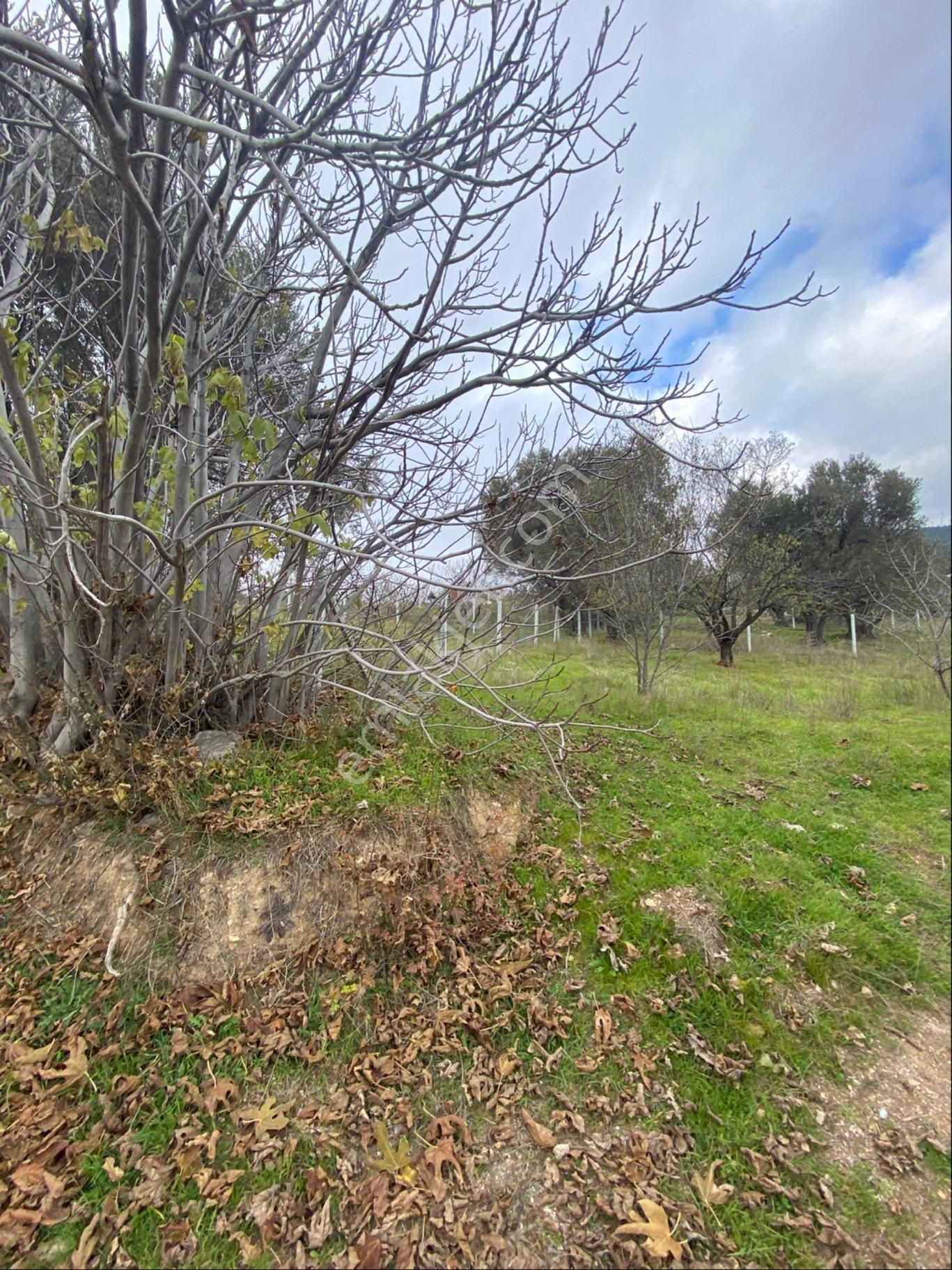 Damlacıkta Geleceğe Yönelik Kelepir Arsa - Görsel 9