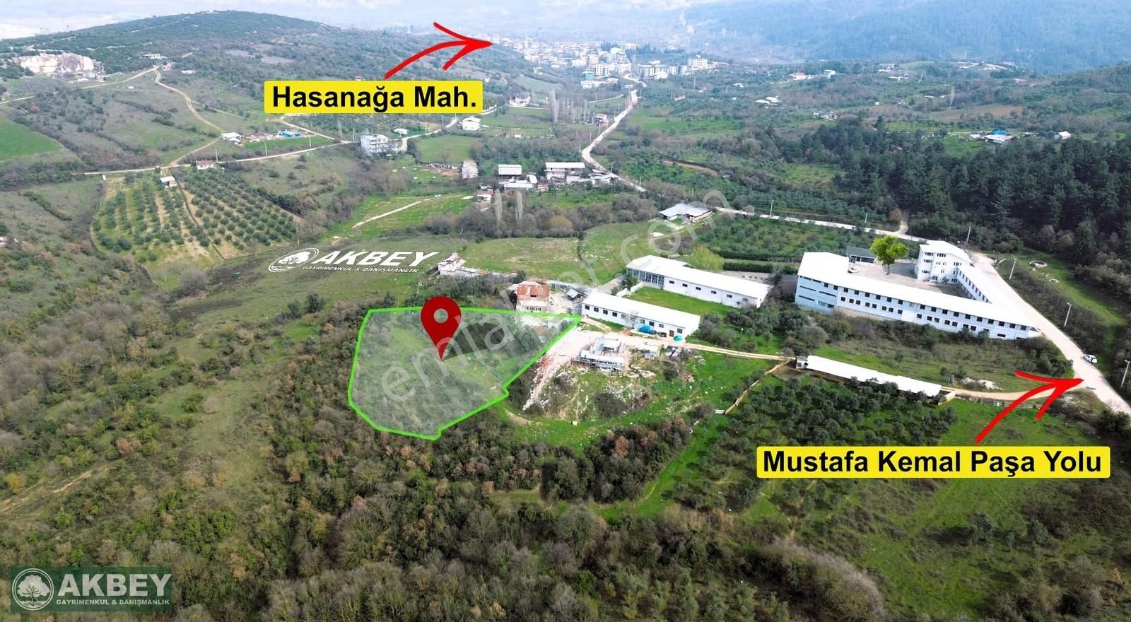 Akbey'den Hasanağa'da Tek Tapu Kemalpaşa Yoluna Yakın Arazi