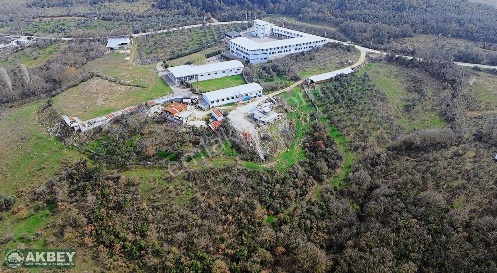 Akbey'den Hasanağa'da Tek Tapu Kemalpaşa Yoluna Yakın Arazi - Görsel 3