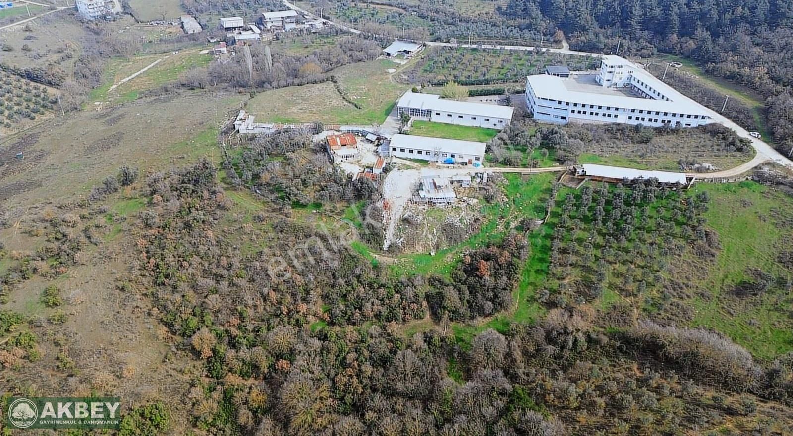 Akbey'den Hasanağa'da Tek Tapu Kemalpaşa Yoluna Yakın Arazi - Görsel 2