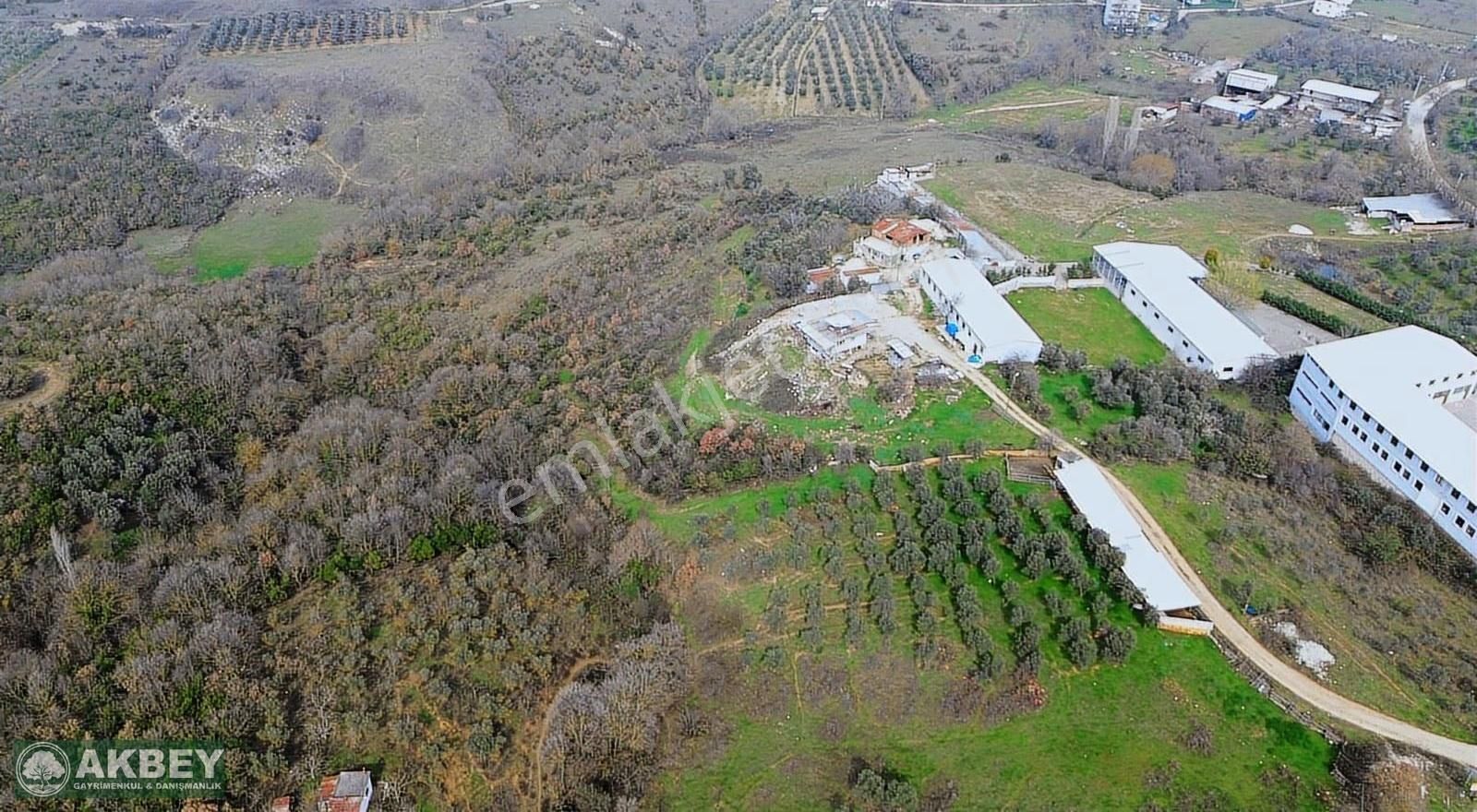 Akbey'den Hasanağa'da Tek Tapu Kemalpaşa Yoluna Yakın Arazi - Görsel 10