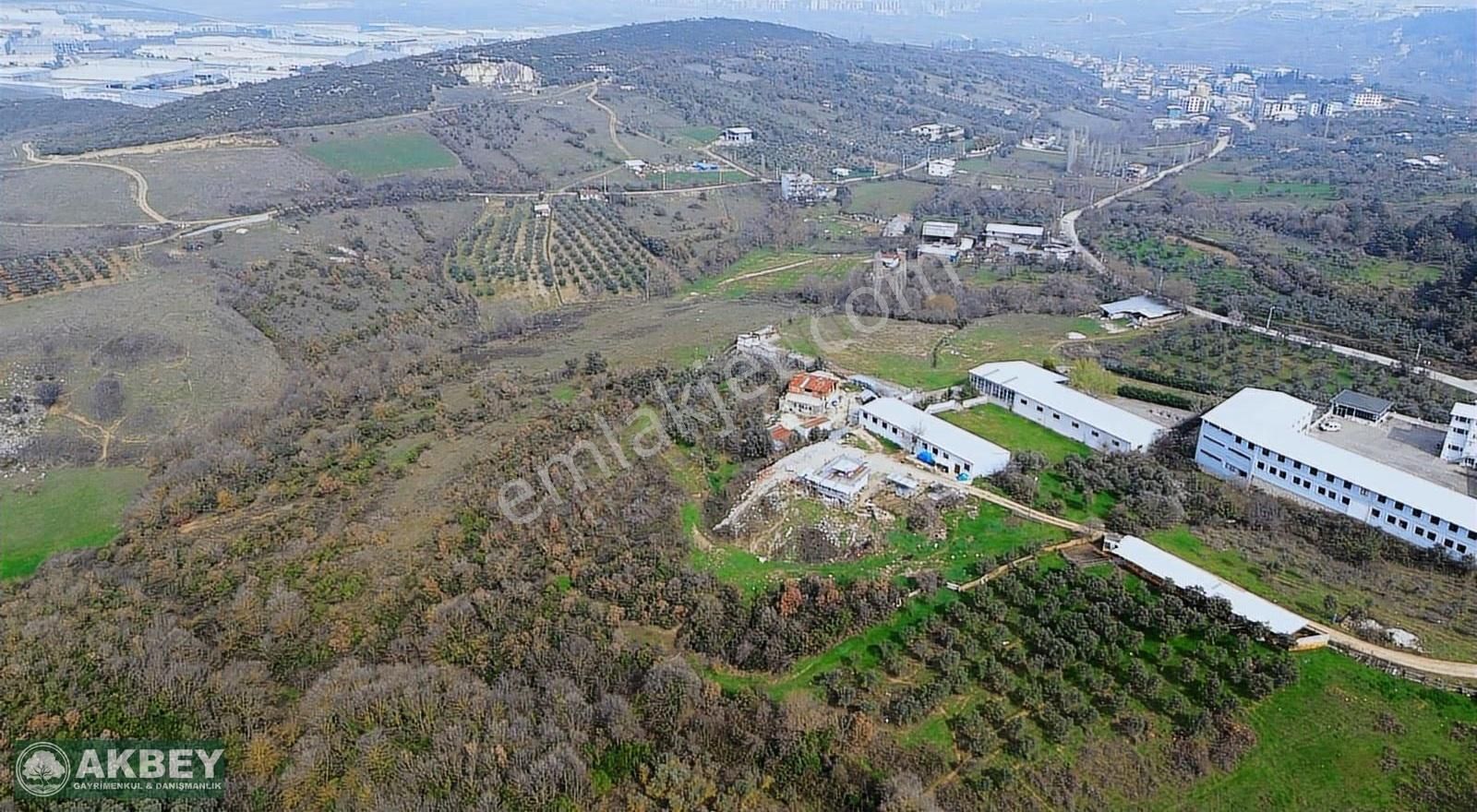 Akbey'den Hasanağa'da Tek Tapu Kemalpaşa Yoluna Yakın Arazi - Görsel 13