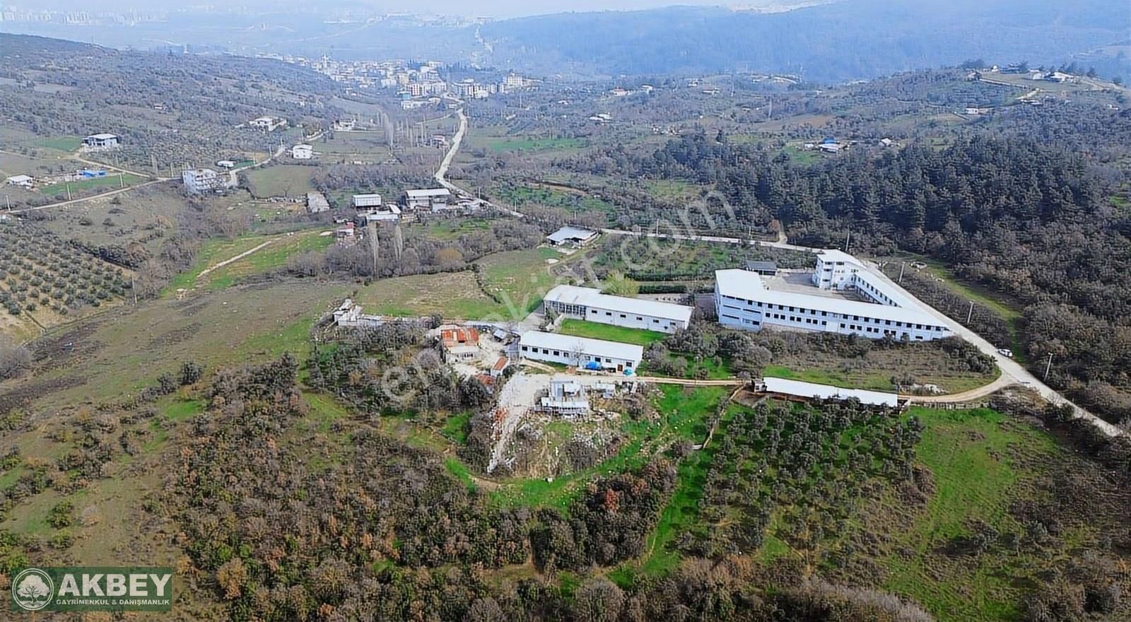 Akbey'den Hasanağa'da Tek Tapu Kemalpaşa Yoluna Yakın Arazi - Görsel 12
