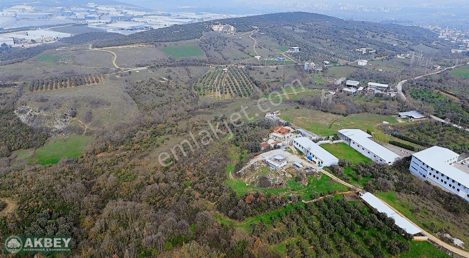 Akbey'den Hasanağa'da Tek Tapu Kemalpaşa Yoluna Yakın Arazi - Görsel 16