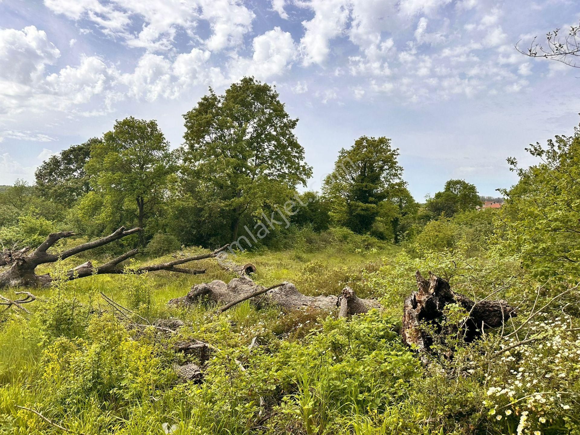 Yankı'dan Şile Kızılcaköy İçinde 1.820 M2 Satılık Arsa - Görsel 12