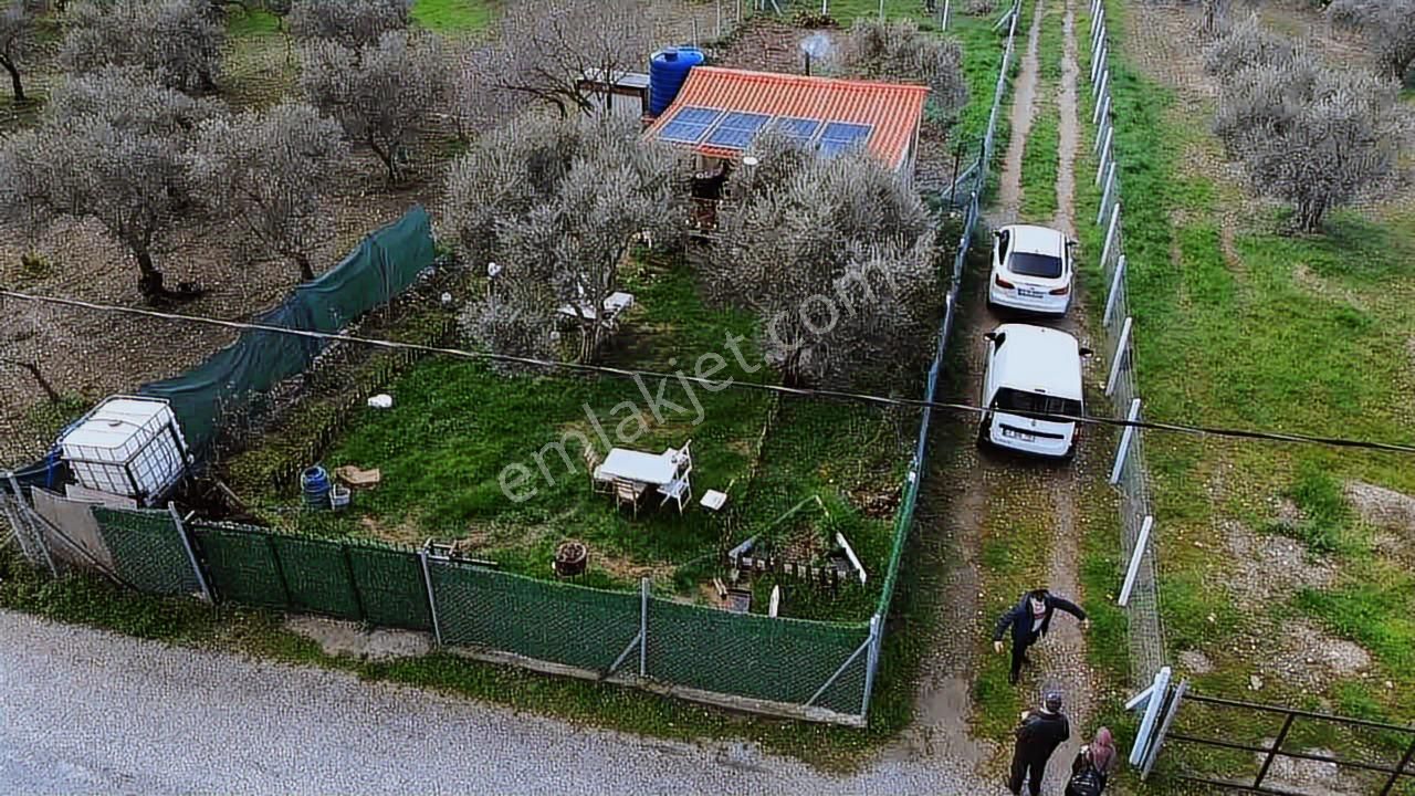 Fırsat ! Örnekköyde Asfalt Yola Cepheli 305 M² Bahçede Ahşap Ev - Görsel 7