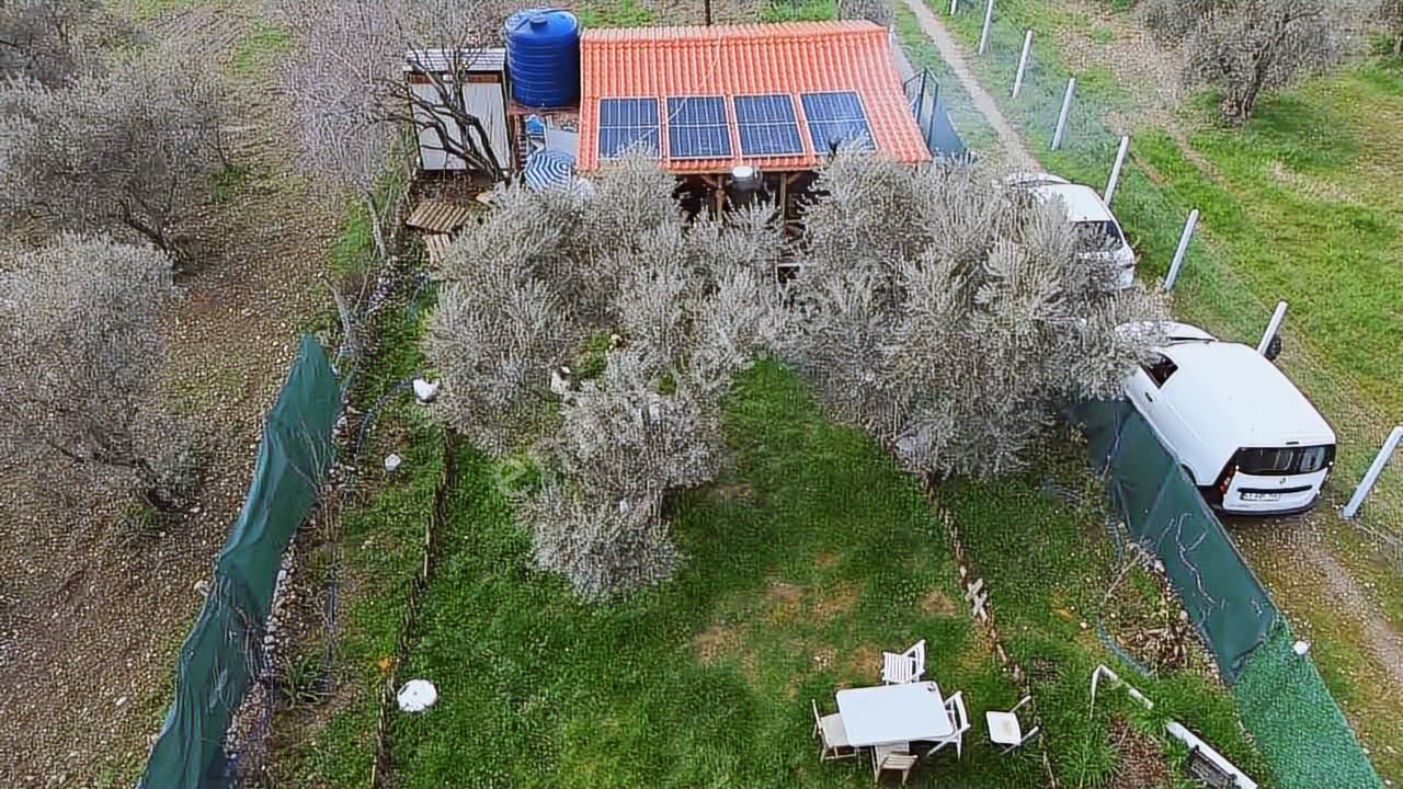 Fırsat ! Örnekköyde Asfalt Yola Cepheli 305 M² Bahçede Ahşap Ev - Görsel 19
