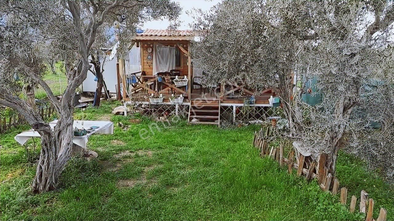 Fırsat ! Örnekköyde Asfalt Yola Cepheli 305 M² Bahçede Ahşap Ev - Görsel 17