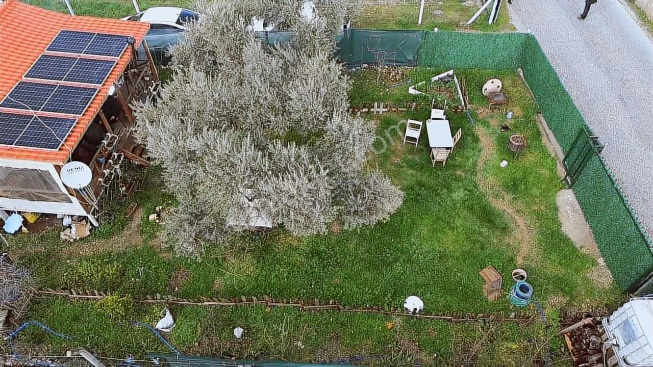 Fırsat ! Örnekköyde Asfalt Yola Cepheli 305 M² Bahçede Ahşap Ev - Görsel 20