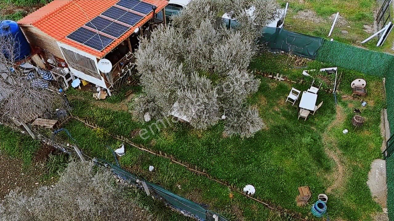 Fırsat ! Örnekköyde Asfalt Yola Cepheli 305 M² Bahçede Ahşap Ev - Görsel 9