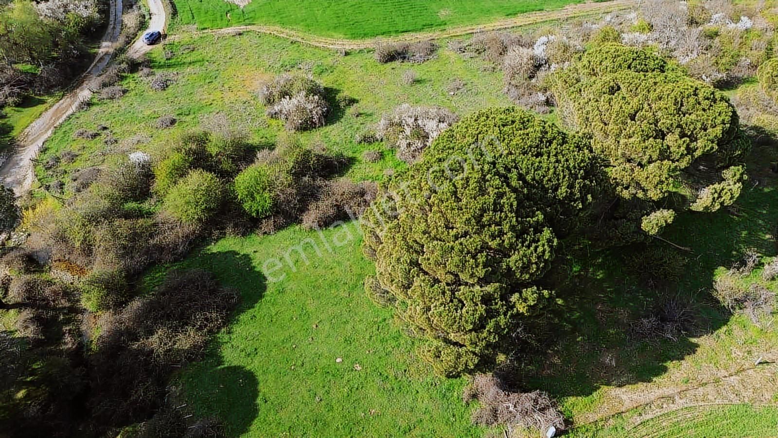 Kozak Yukarıbey Mahallesinde Satılık Tarla 20.600 M2 - Görsel 23