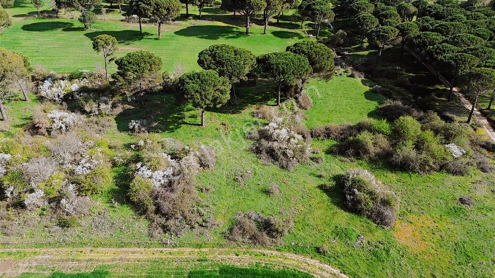 Kozak Yukarıbey Mahallesinde Satılık Tarla 20.600 M2 - Görsel 13