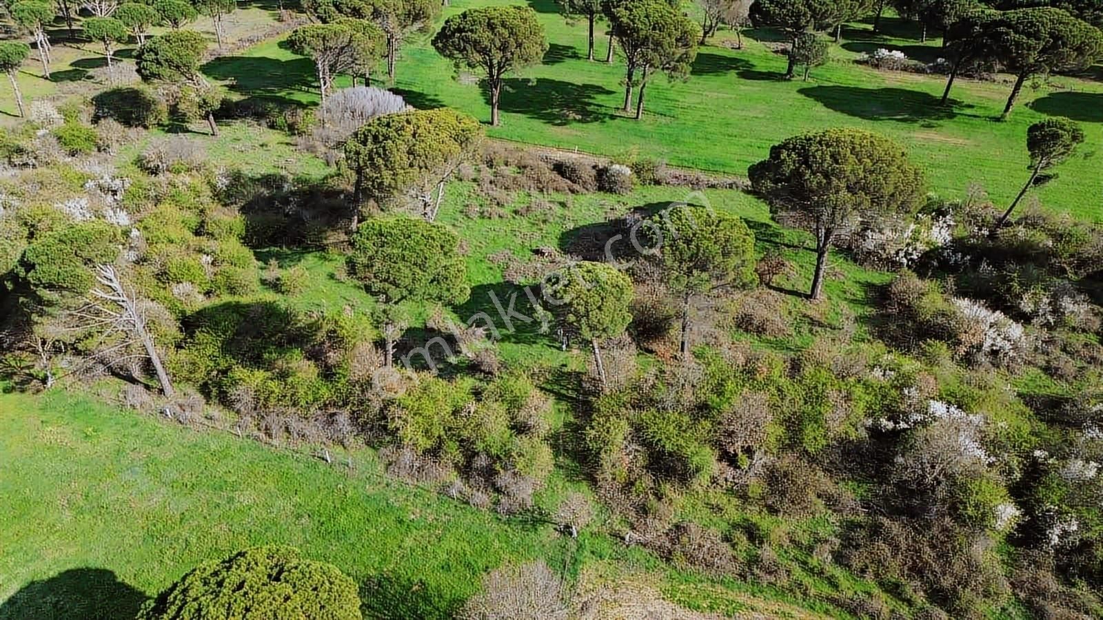 Kozak Yukarıbey Mahallesinde Satılık Tarla 20.600 M2 - Görsel 27