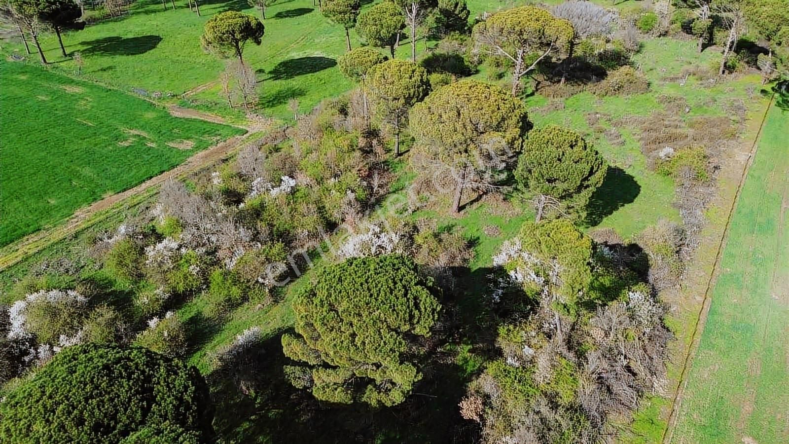 Kozak Yukarıbey Mahallesinde Satılık Tarla 20.600 M2 - Görsel 11