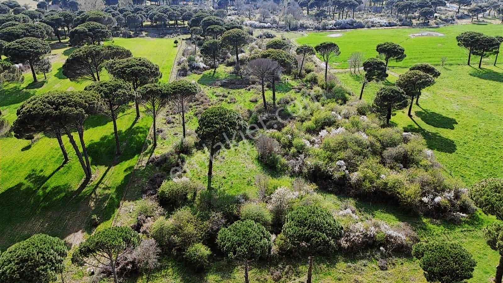Kozak Yukarıbey Mahallesinde Satılık Tarla 20.600 M2 - Görsel 9