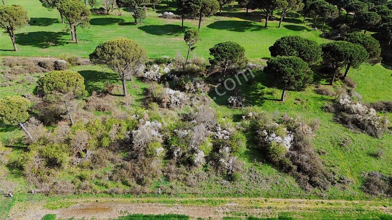 Kozak Yukarıbey Mahallesinde Satılık Tarla 20.600 M2 - Görsel 19