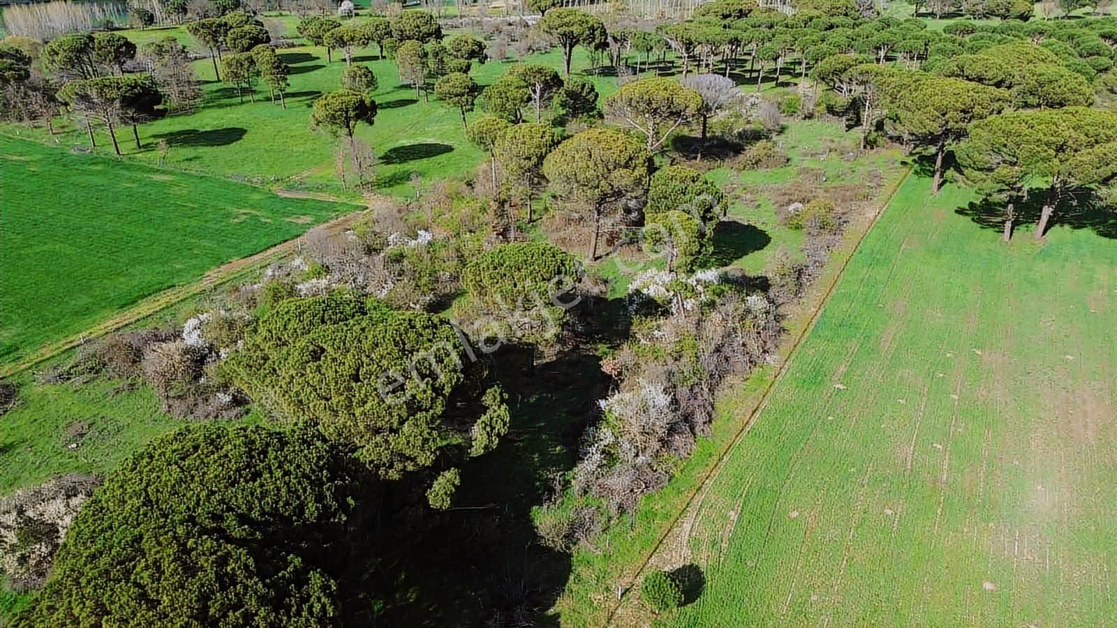 Kozak Yukarıbey Mahallesinde Satılık Tarla 20.600 M2 - Görsel 25