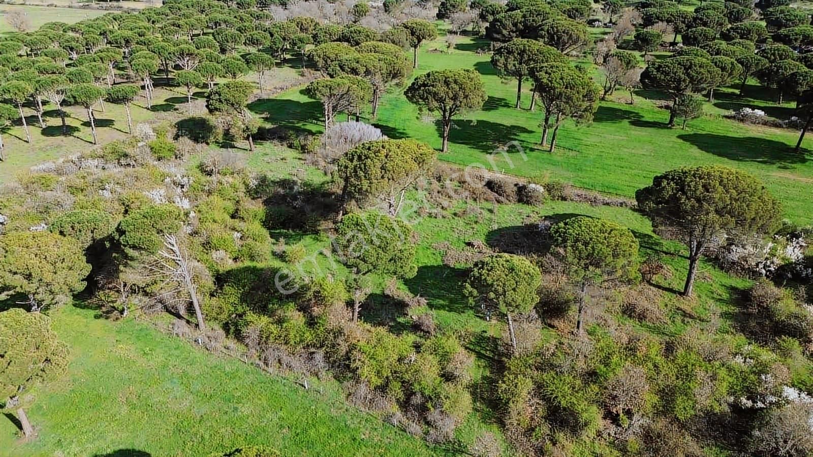 Kozak Yukarıbey Mahallesinde Satılık Tarla 20.600 M2 - Görsel 4