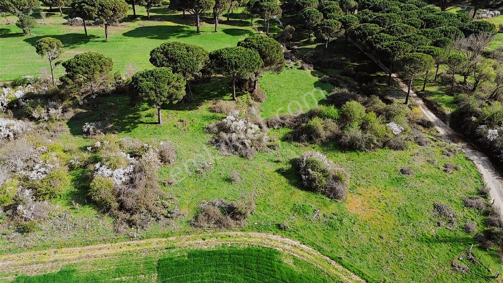 Kozak Yukarıbey Mahallesinde Satılık Tarla 20.600 M2 - Görsel 5