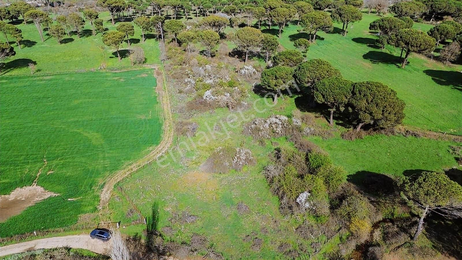 Kozak Yukarıbey Mahallesinde Satılık Tarla 20.600 M2 - Görsel 16