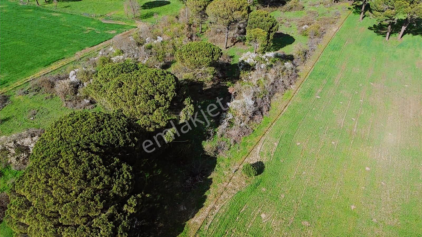 Kozak Yukarıbey Mahallesinde Satılık Tarla 20.600 M2 - Görsel 24