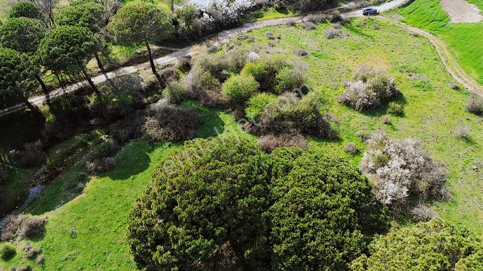 Kozak Yukarıbey Mahallesinde Satılık Tarla 20.600 M2 - Görsel 6