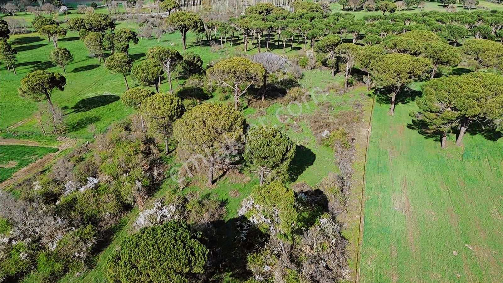 Kozak Yukarıbey Mahallesinde Satılık Tarla 20.600 M2 - Görsel 21