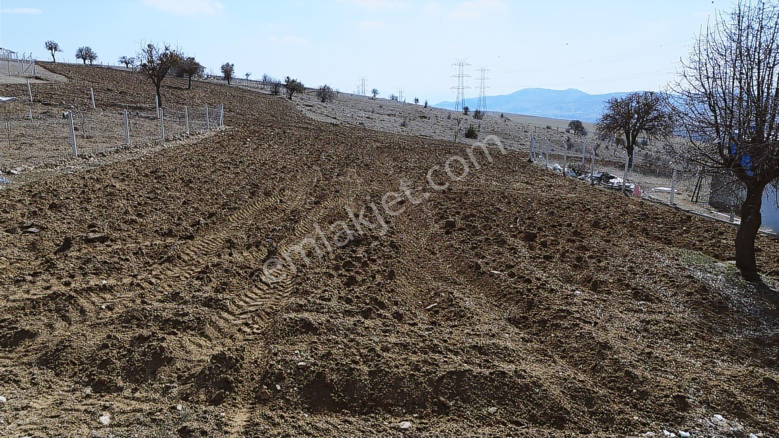 Han'dan İmara Yakın Yeri Belli Muvaffakatlı 1914 M2 Tarla - Görsel 28