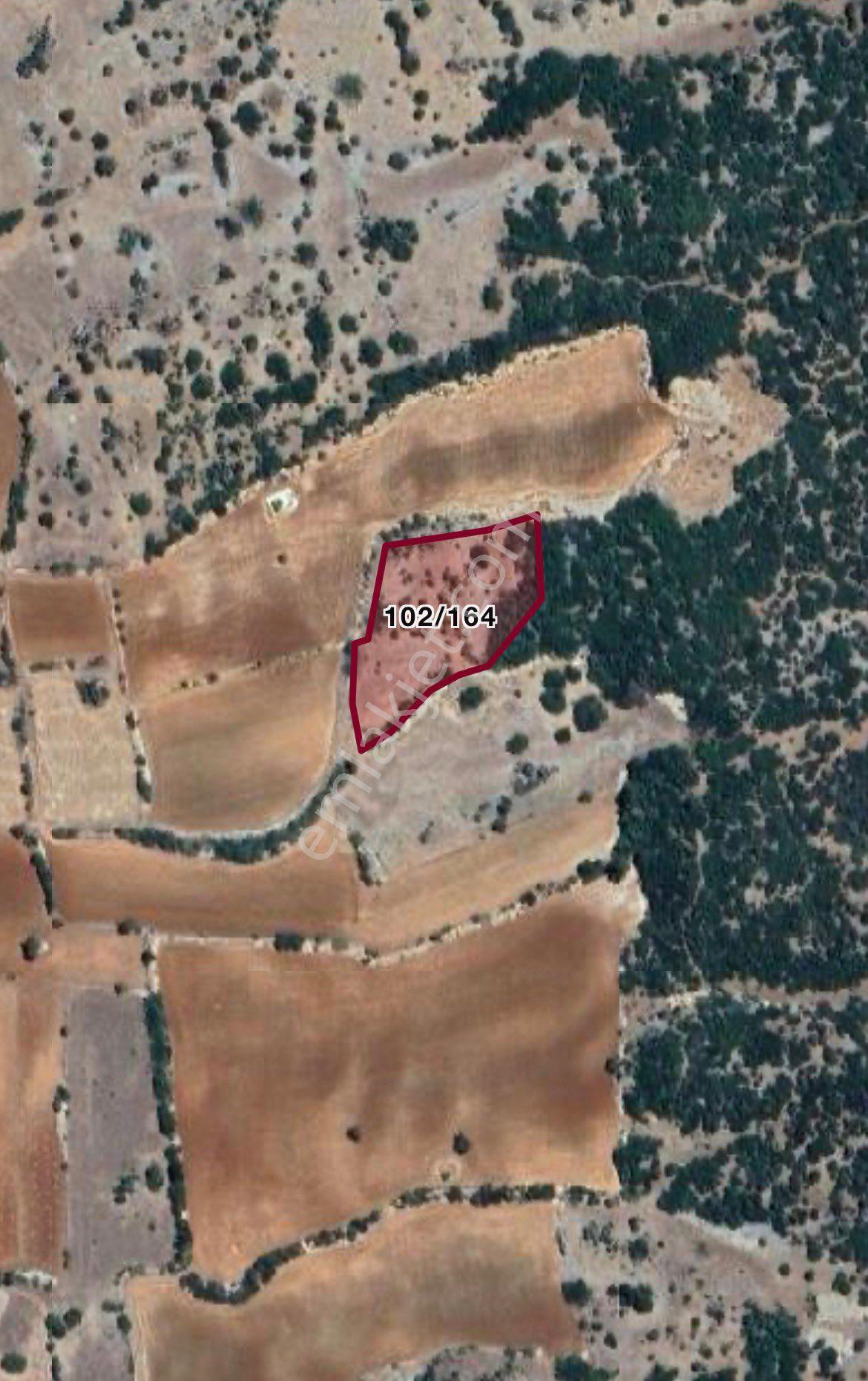 Yatırım Fırsatı! Denizli Kale Özlüce’de 4.685 M² Satılık Tarla - Görsel 3