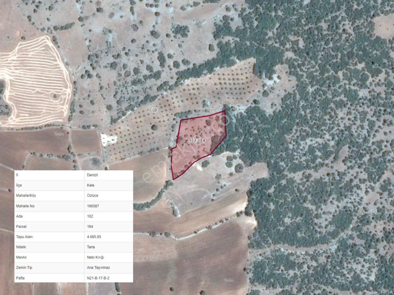 Yatırım Fırsatı! Denizli Kale Özlüce’de 4.685 M² Satılık Tarla - Görsel 5