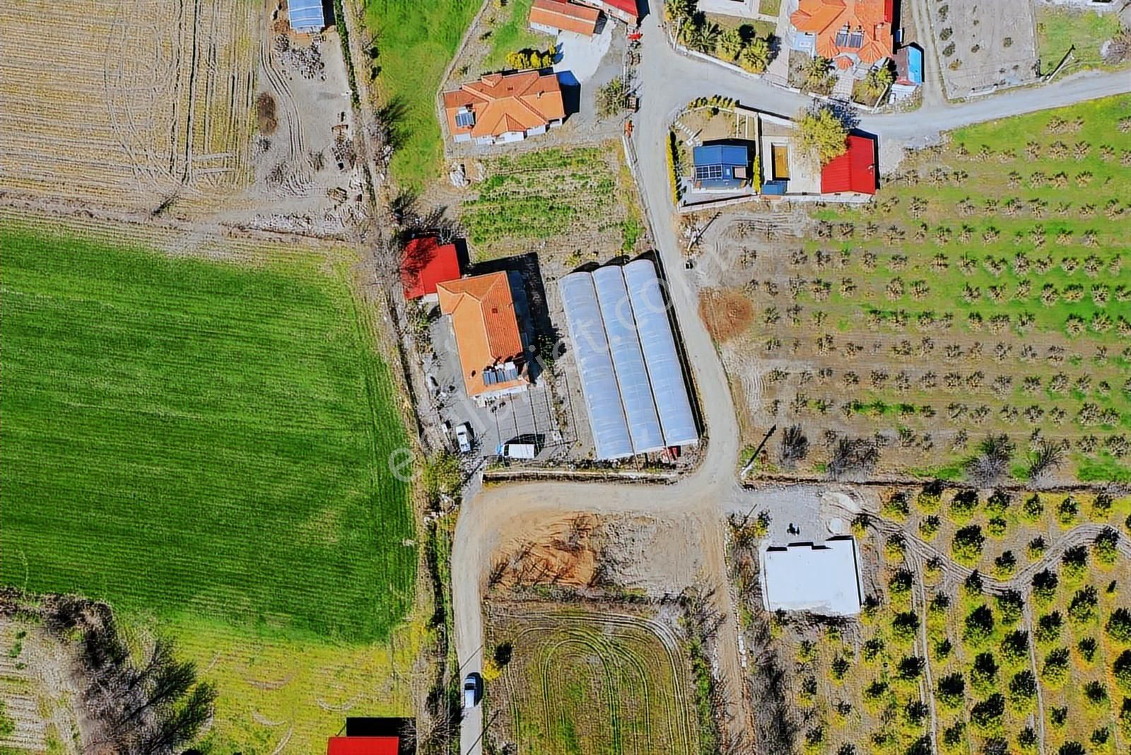Nysa Emlak'tan Satılık 285 M2 Hisseli Tarla - Görsel 6