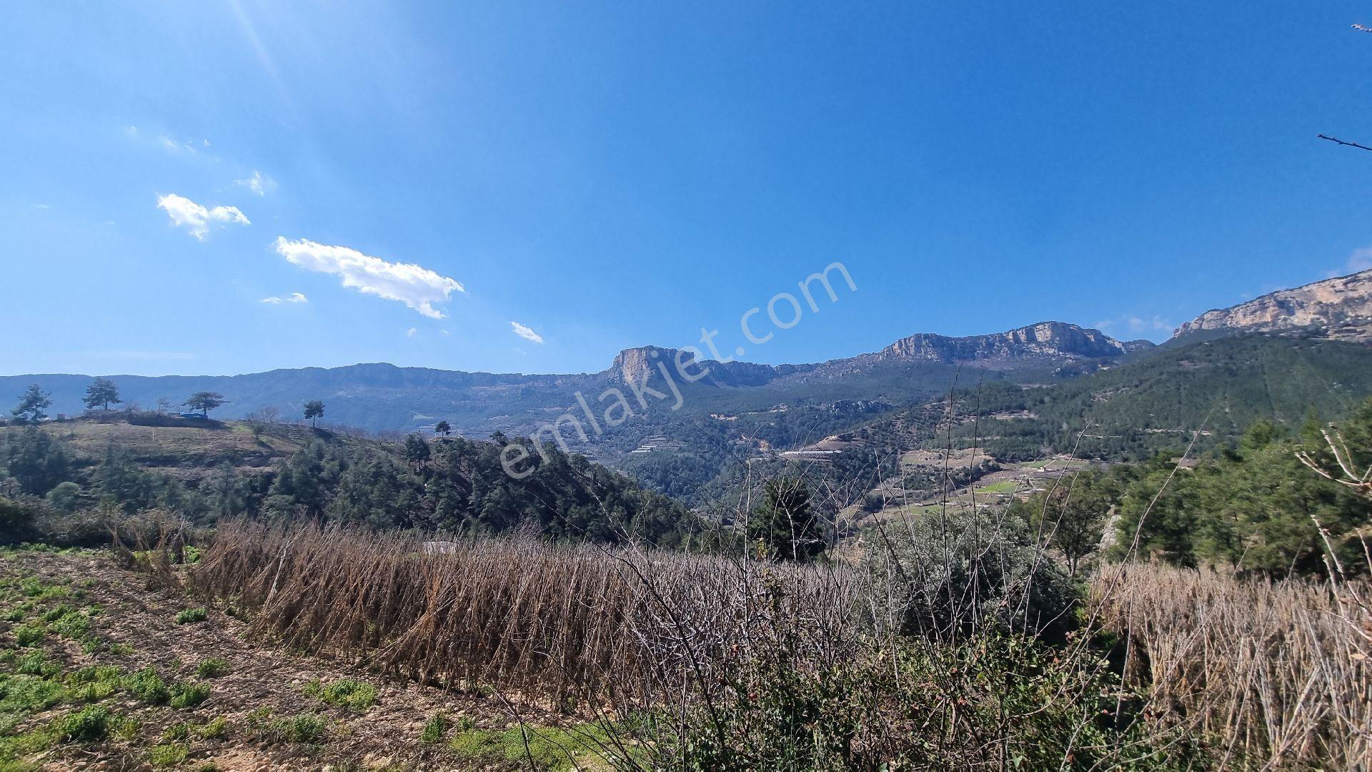 Erdemli Fakılı'da 8419 M2 Satılık Arazi - Görsel 5